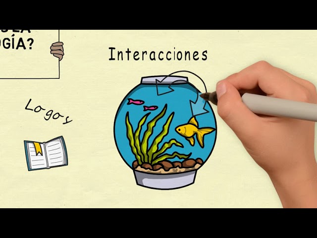 Ecologia significado: 5 conceitos que transformarão sua visão 1 ecologia significado