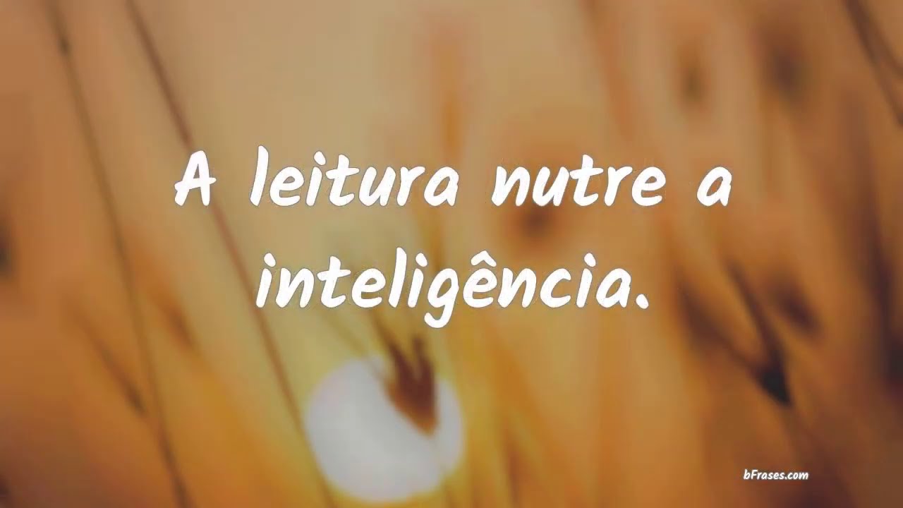 Ler é viver: 7 livros que transformam sua perspectiva! 5 frases sobre leitura