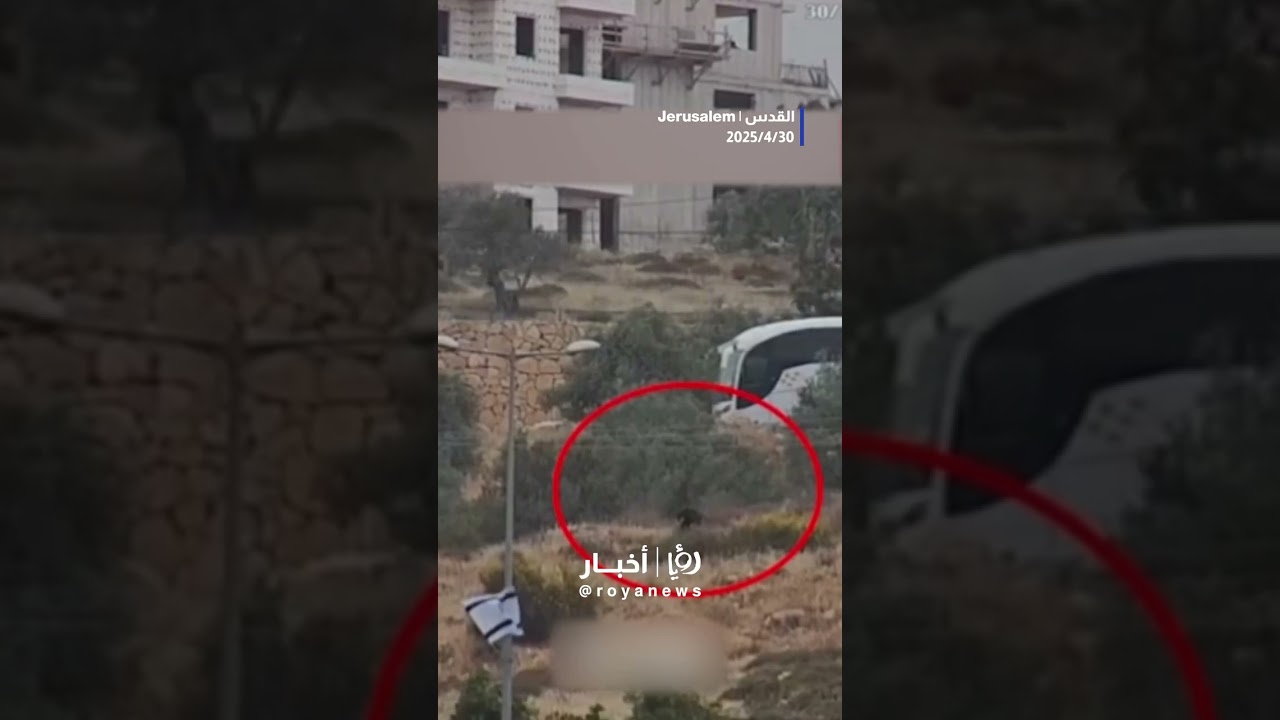 Guerra Israel: 7 fatos surpreendentes que você precisa saber 5 guerra israel