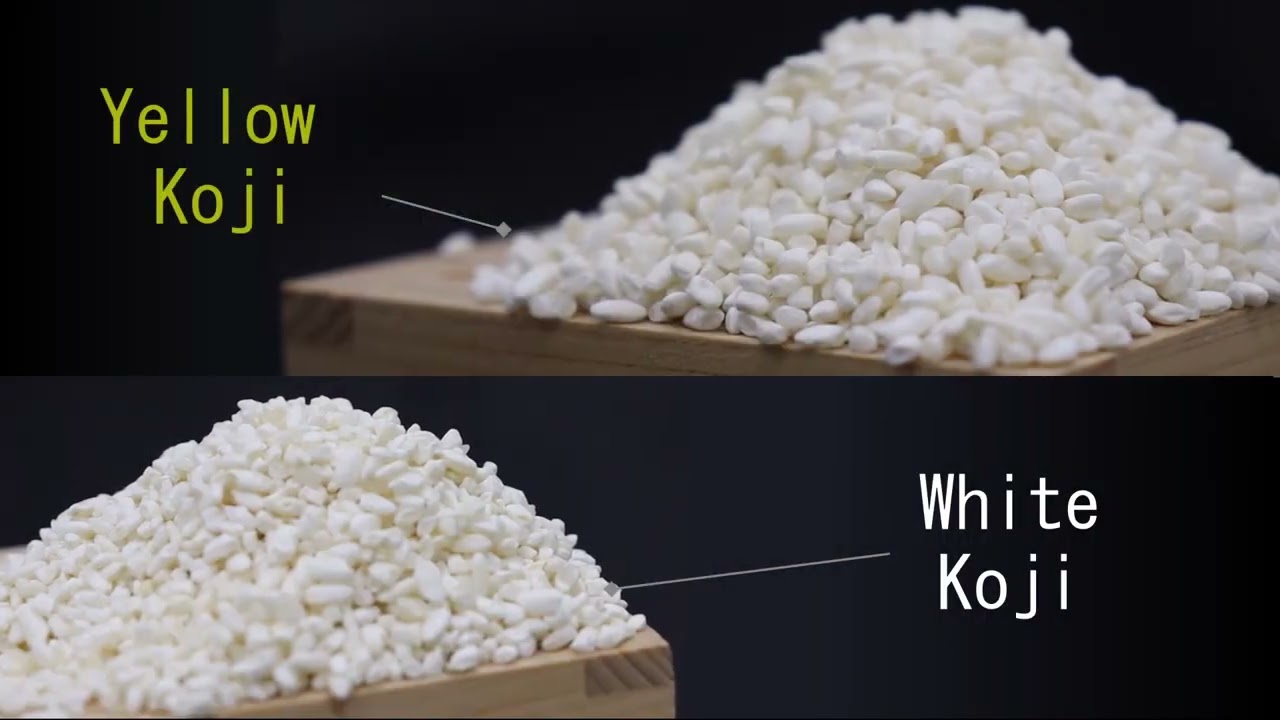 koji