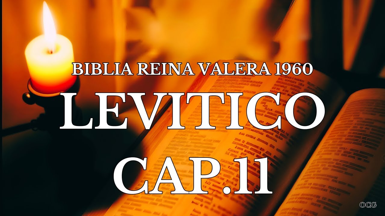 Levitico 11: 7 alimentos permitidos que você precisa conhecer 4 levitico 11