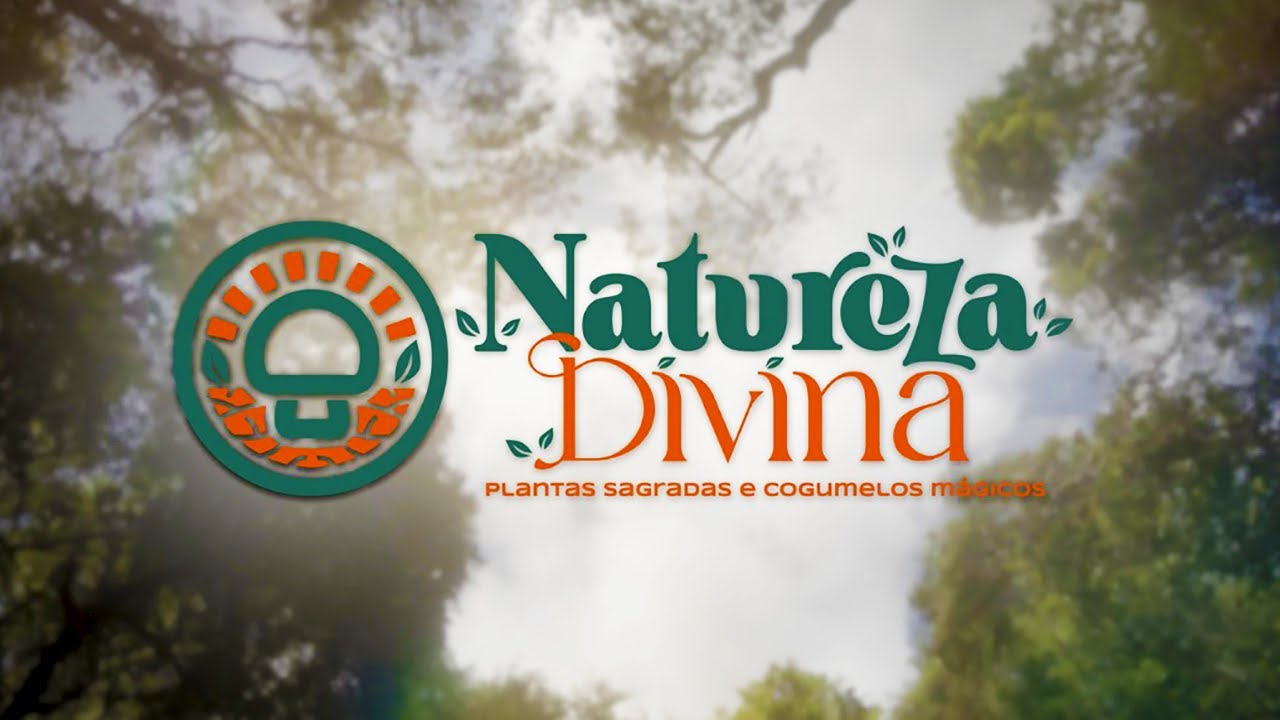 Natureza divina: 7 segredos para se conectar com o sagrado 4 natureza divina