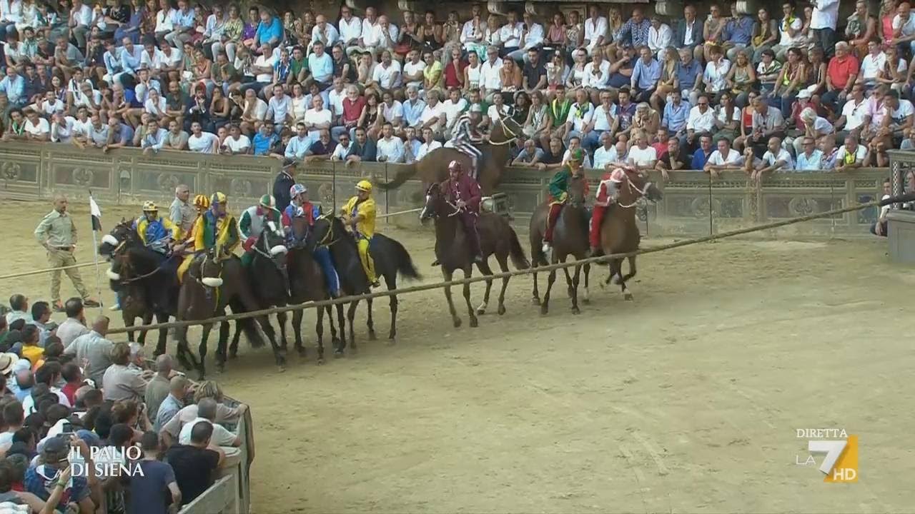 Palio: 5 características essenciais que tornam este carro único 5 palio