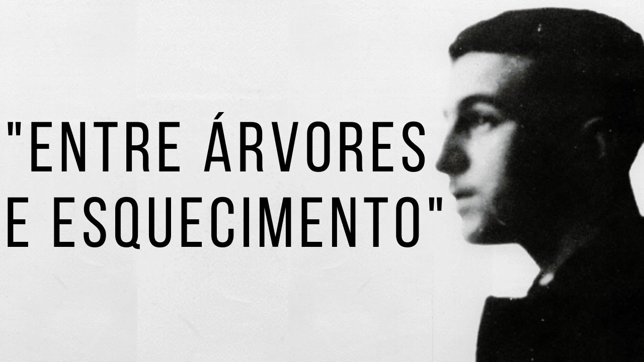 Poemas sobre a vida: 7 reflexões profundas para inspirar você 4 poemas sobre a vida