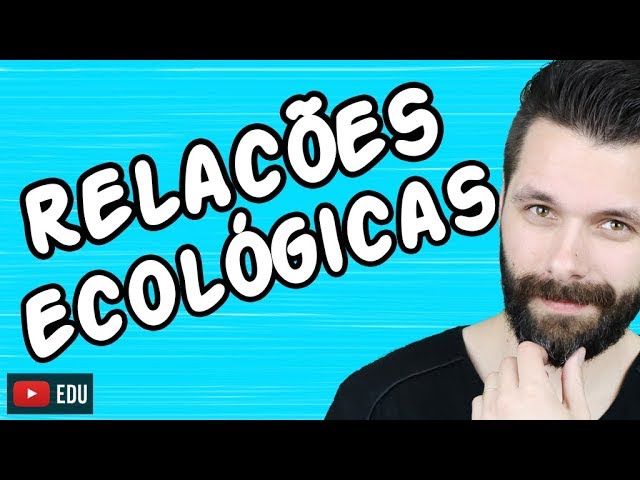 Relações ecológicas: 7 exemplos fascinantes na natureza que surpreendem 4 relações ecológicas