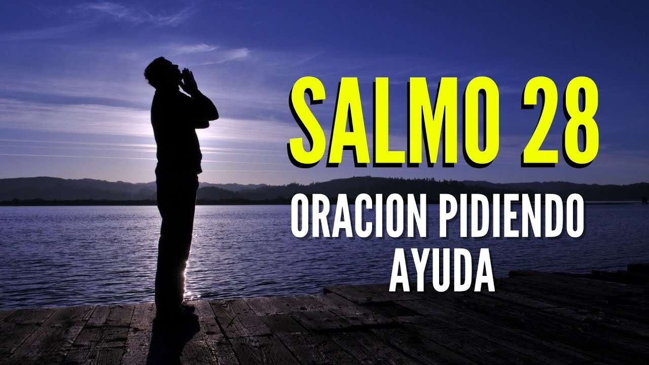 Salmo 28: 5 motivos para confiar na proteção divina agora 1 salmo 28