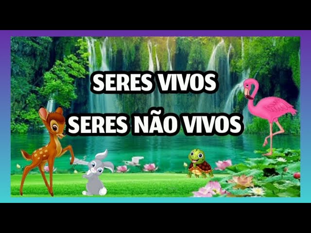 Seres não vivos: 7 curiosidades fascinantes que você desconhece 5 seres nao vivos