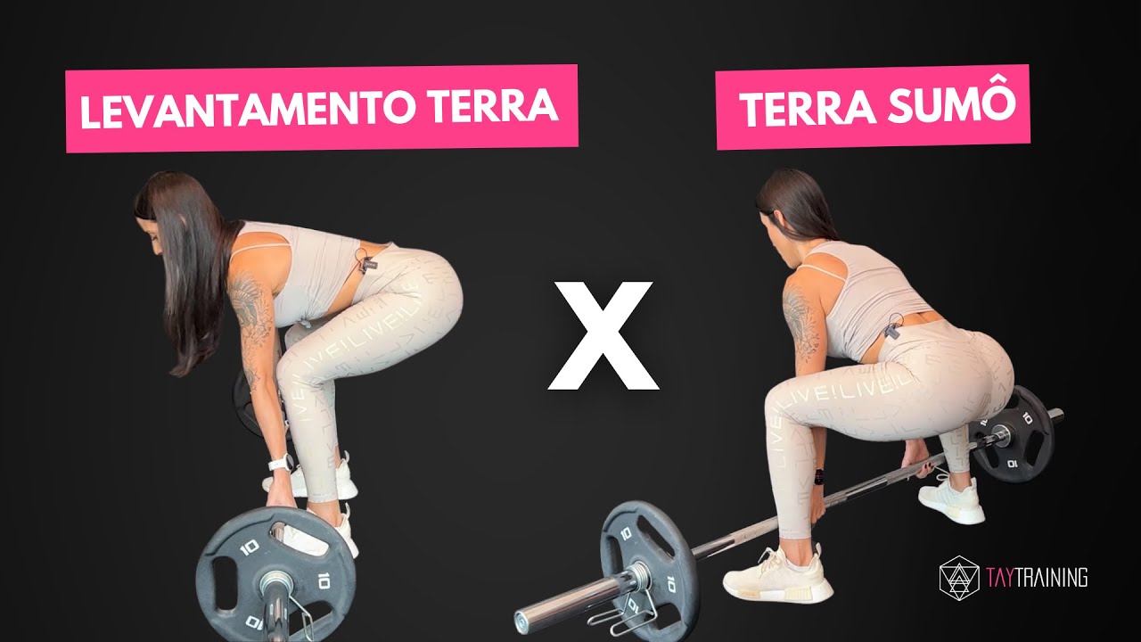 Terra Sumos: 5 benefícios surpreendentes para sua saúde 5 terra sumo
