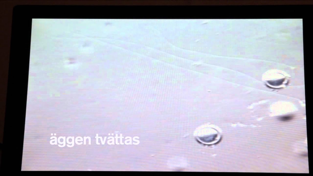provrörsbefruktning