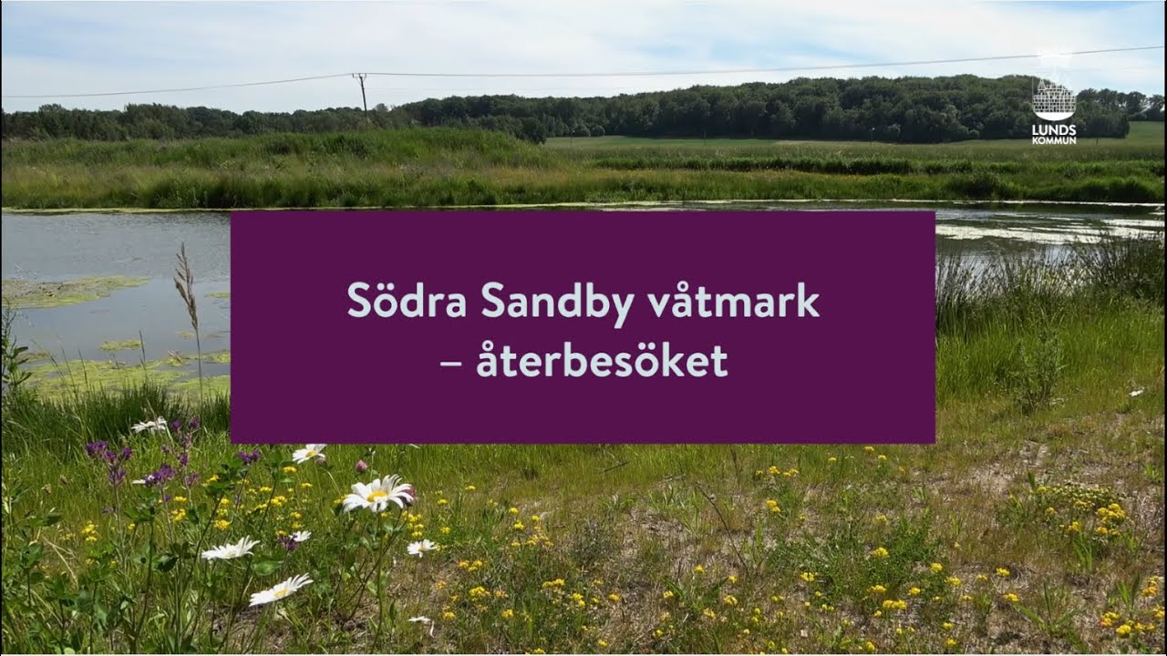 Södra Sandby 2025: 7 skäl att besöka denna gömda pärla 5 södra sandby