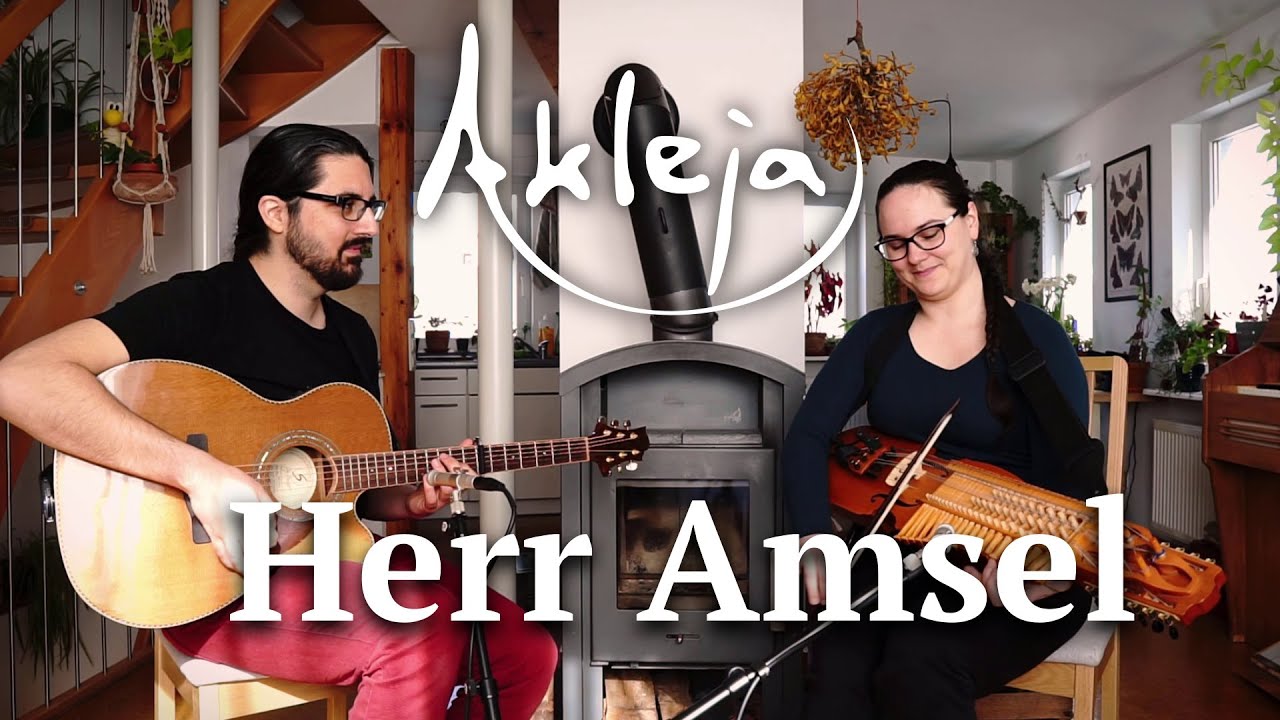 Akleja 2025: 7 fantastiska tips för en blomstrande trädgård 5 akleja