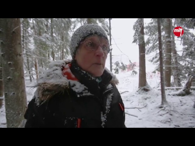 mitt i haninge