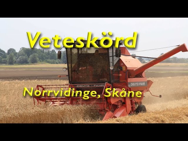 Norrvidinge 2025: 7 hemligheter för att uppleva naturen fullt ut 5 norrvidinge