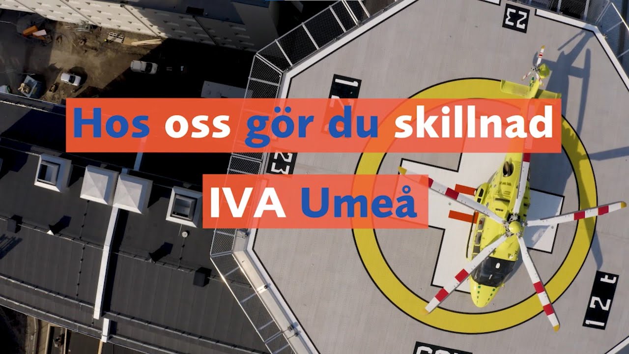 nus umeå