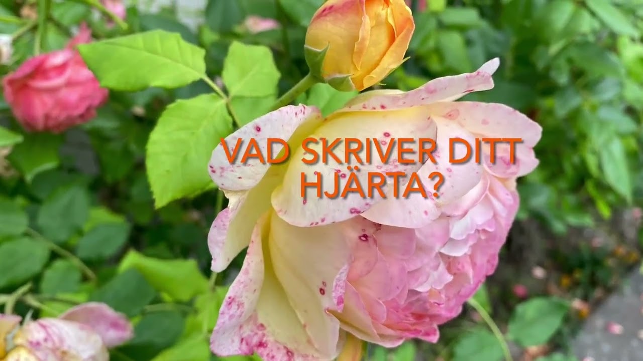 skrivarkurs