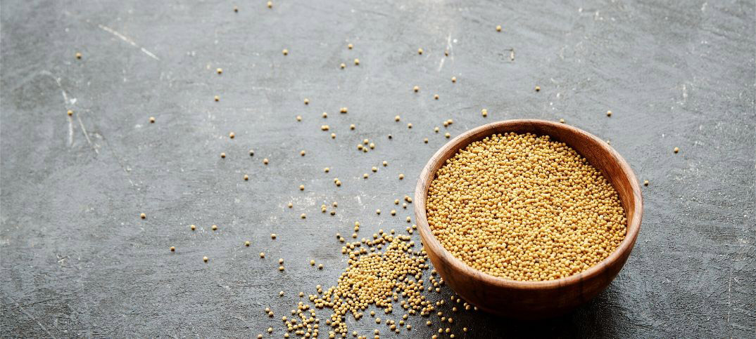 11 maneras de tener fe de semilla de mostaza