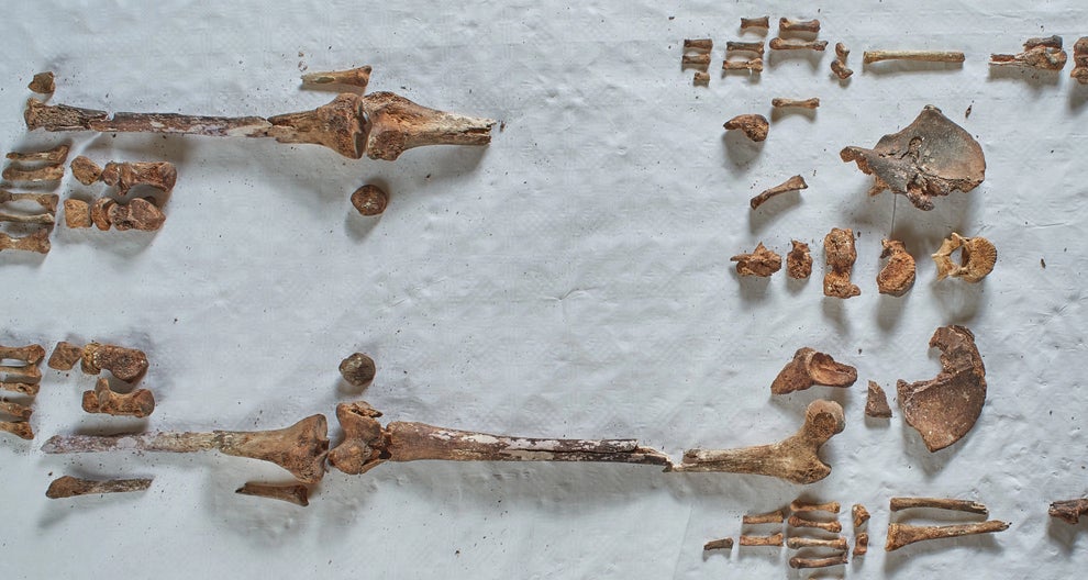 Sin rodeos: los arqueólogos convencidos de que los restos son los de la primera abadesa de Gran Bretaña