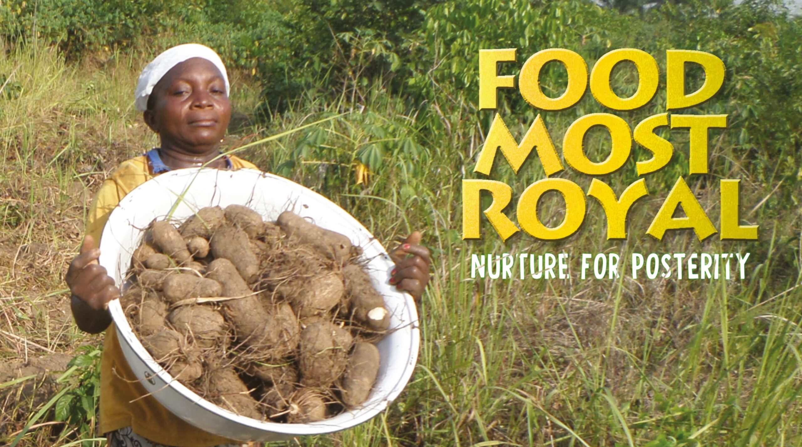 El ñame ayuda a la seguridad alimentaria en Nigeria