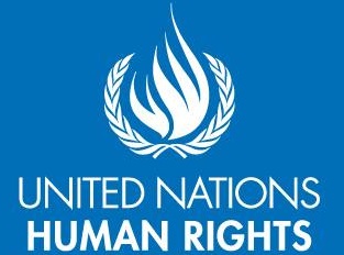 La ONU vuelve a criticar las leyes 'pro-vida' de Irlanda