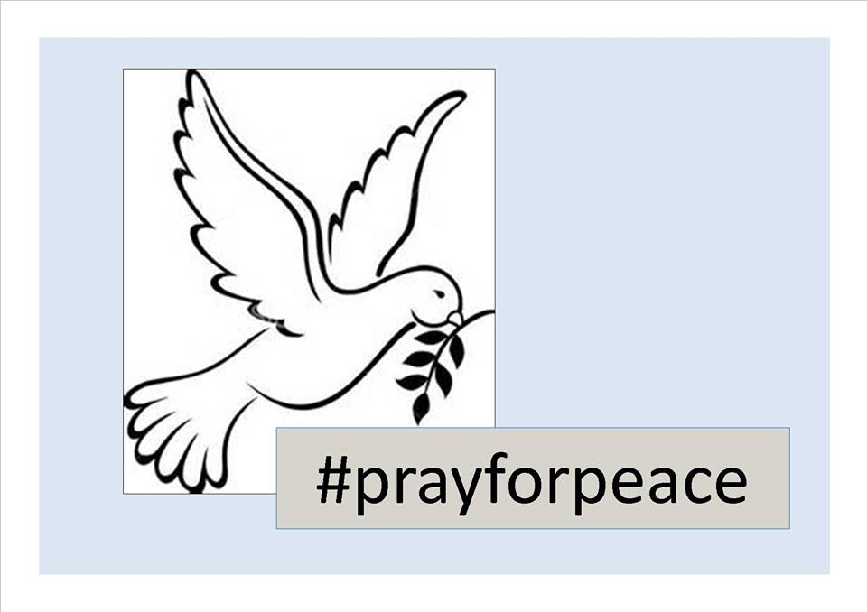 Obispos promueven iniciativa de oraciones por la paz
