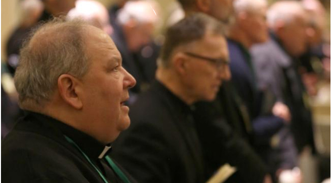 Mientras el Papa Francisco pide una Iglesia 'sinodal', algunas diócesis de EE. UU. están celebrando sínodos