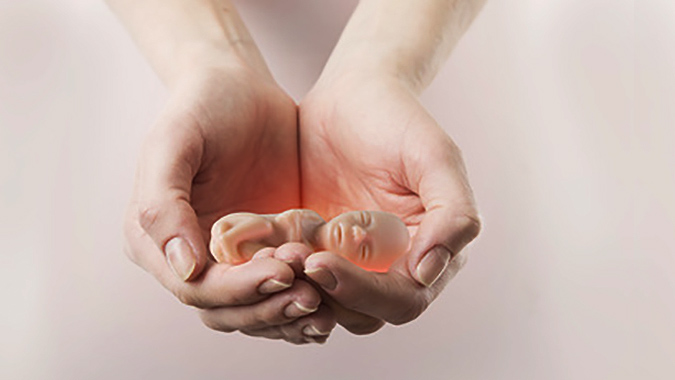 La muerte de los embriones y “El problema de la concepción”