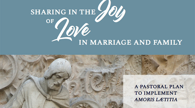 Mi única preocupación sobre el plan pastoral “Compartir la alegría del amor”