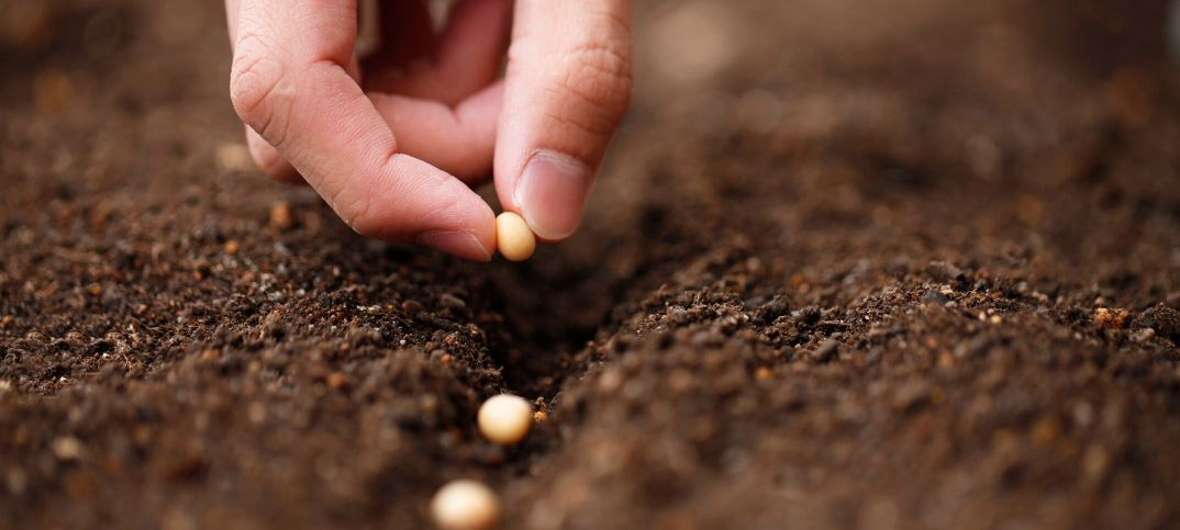 21 maneras de cosechar lo que siembras