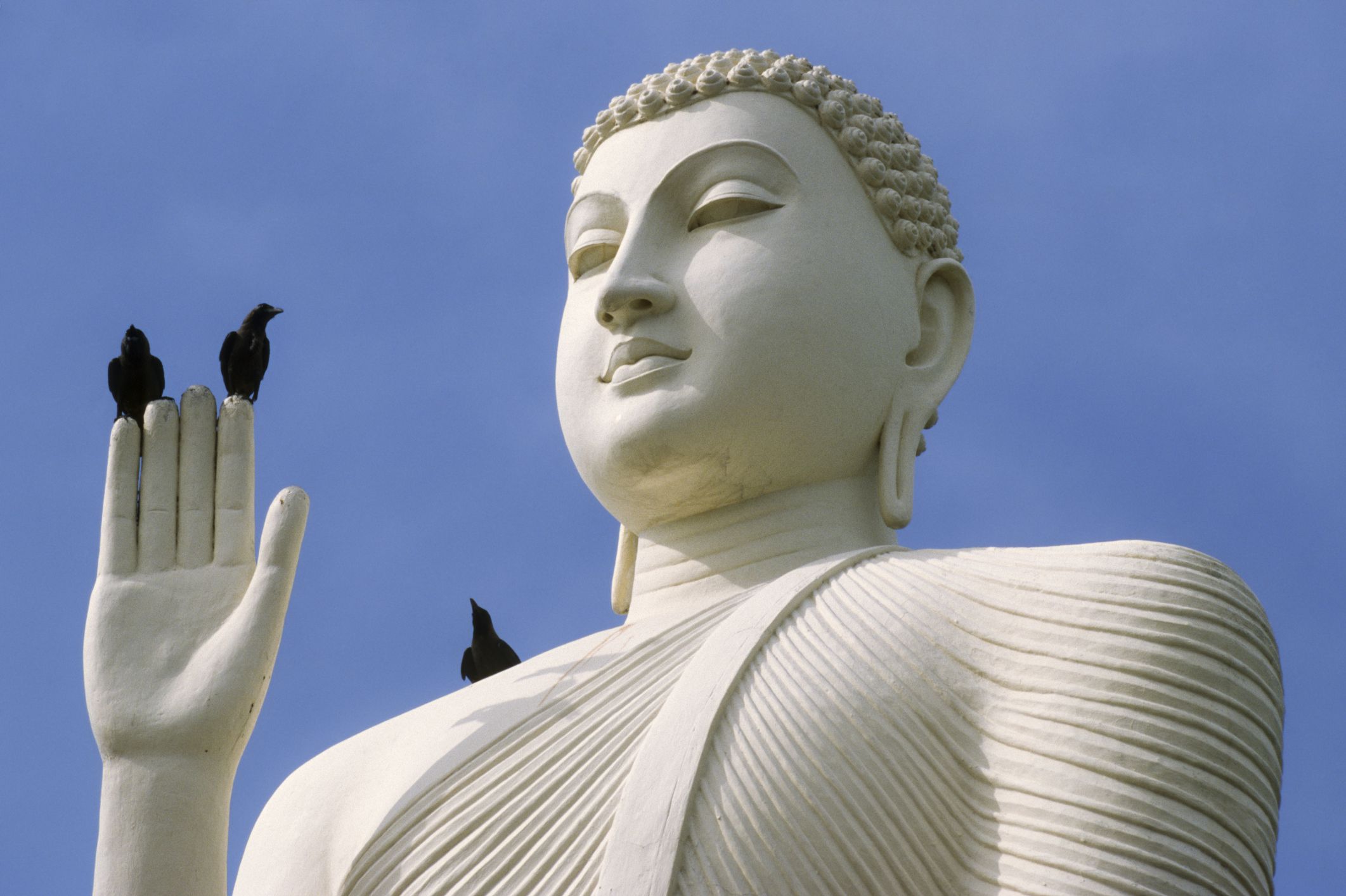 Evitar el apego: enseñanzas budistas sobre dejar ir