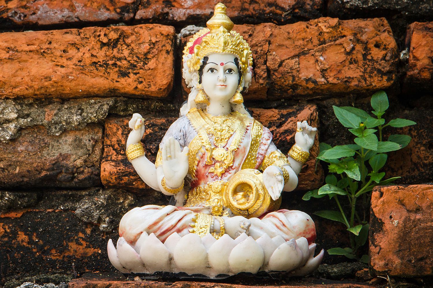 Lakshmi: la diosa hindú de la riqueza y la belleza