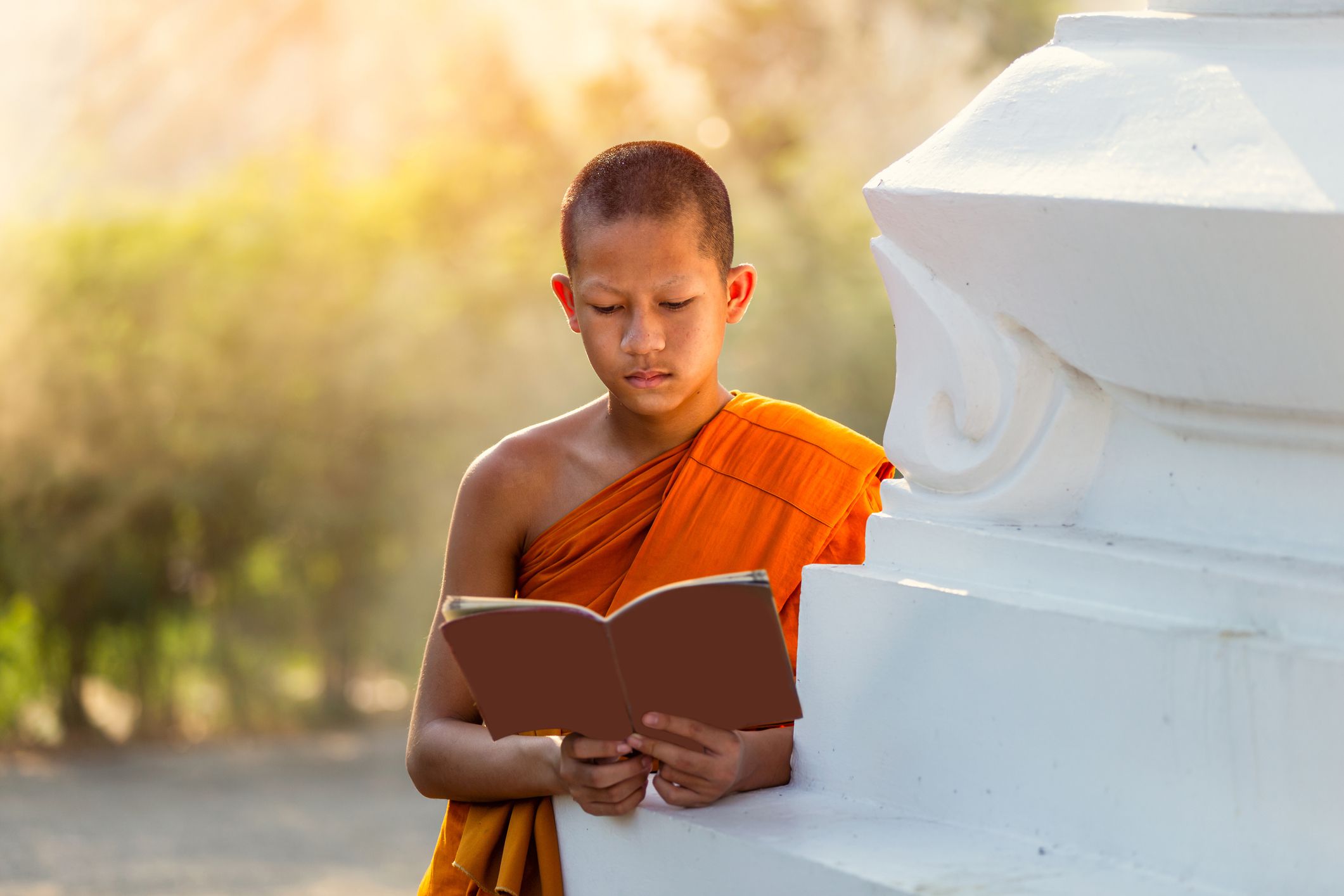 Los 7 mejores libros para budistas principiantes