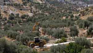 Los JCB excavan terrenos en Cisjordania