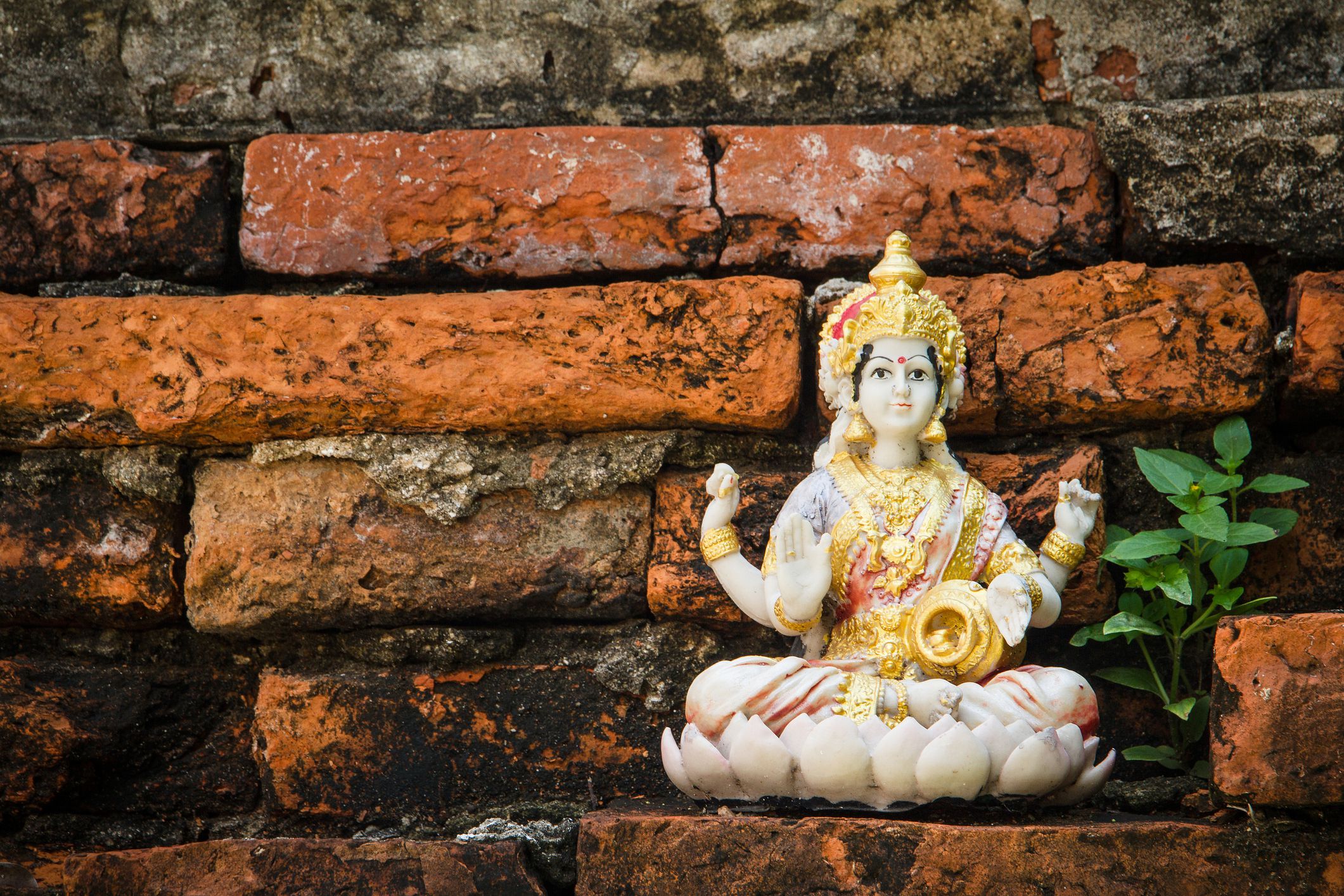 Por qué Lakshmi, diosa hindú de la riqueza, toma 8 formas divinas