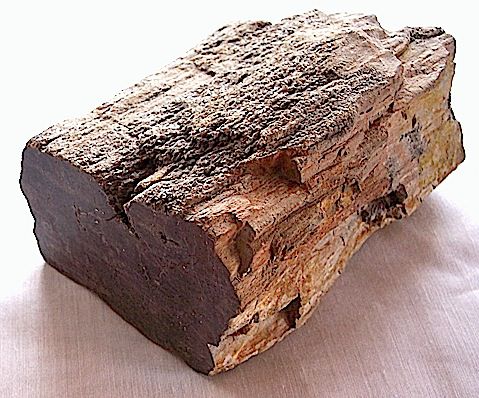Propiedades curativas de la madera petrificada