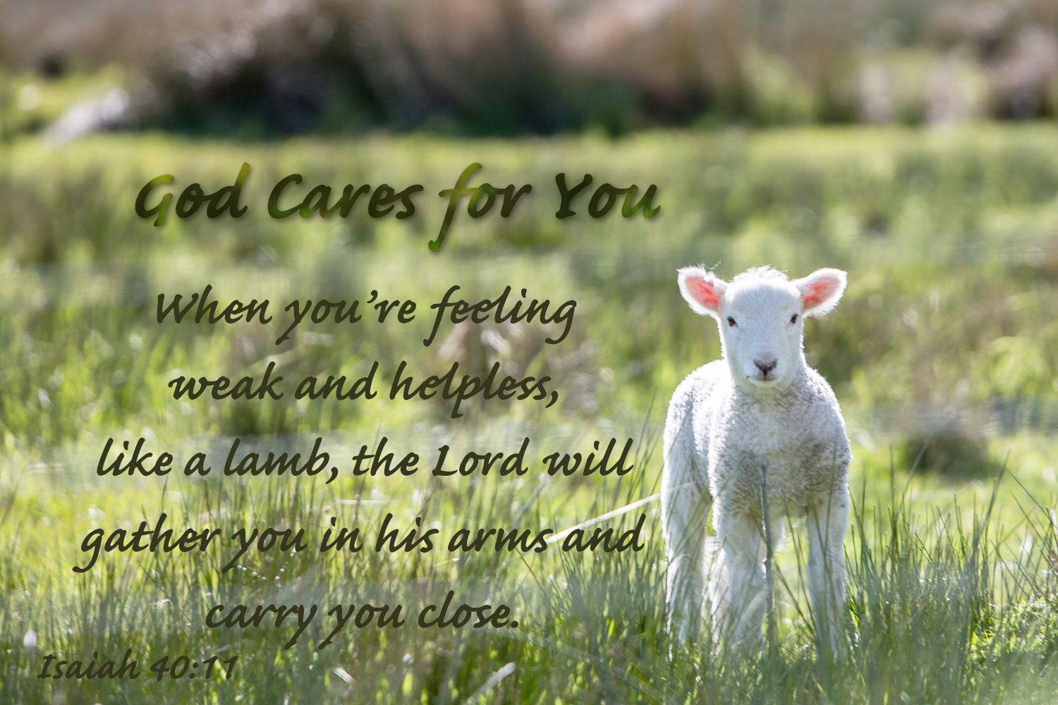 Versículo del Día: Dios cuida de ti - Isaías 40:11