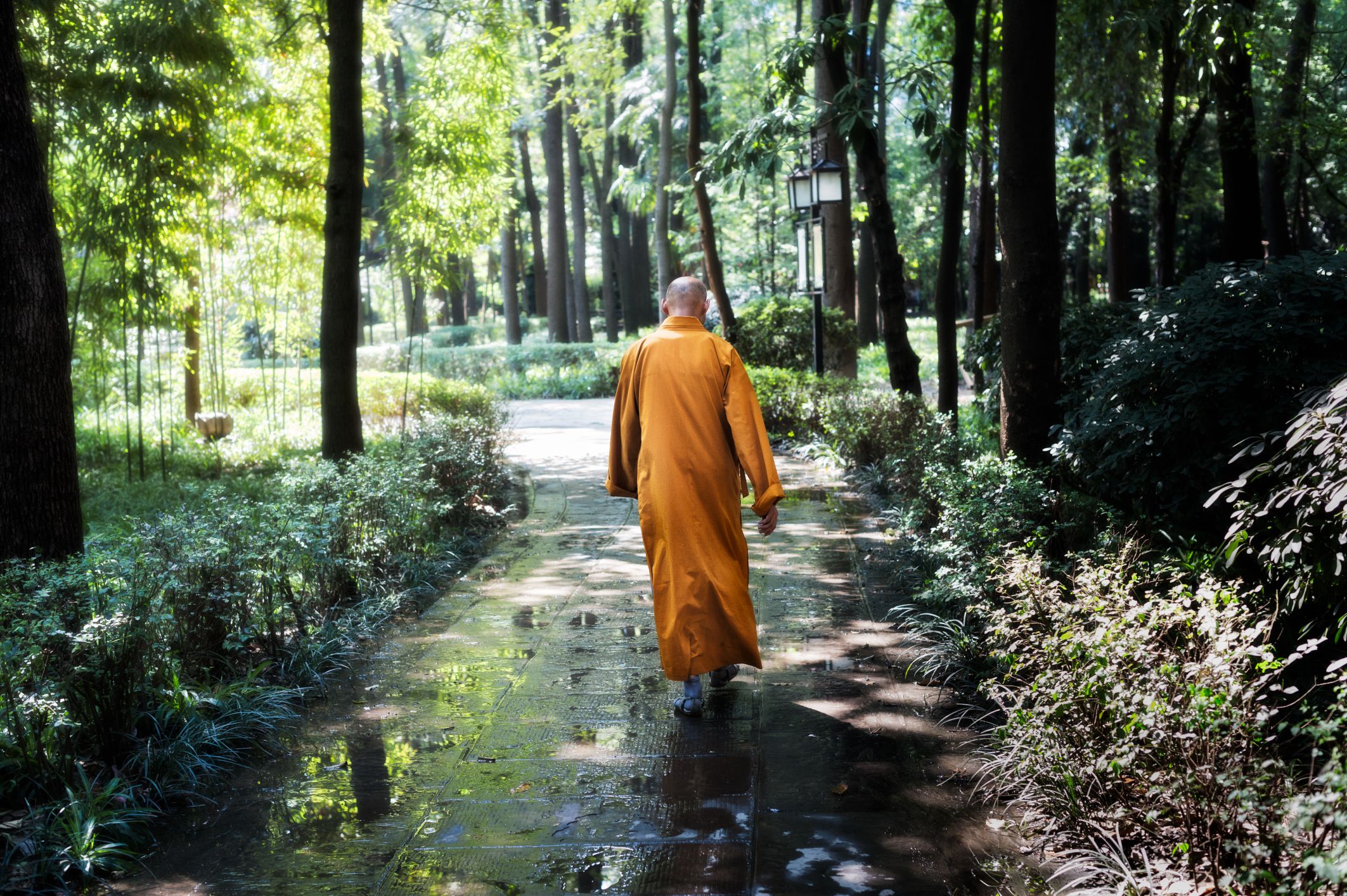 ¿Cuáles son las etapas del camino del Bodhisattva?