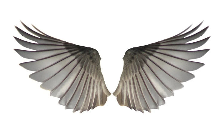 Angelologia