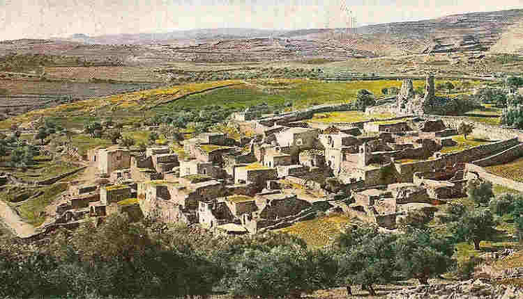 ¿Cómo era la ciudad de Betania y qué importancia tiene? 5 Betania