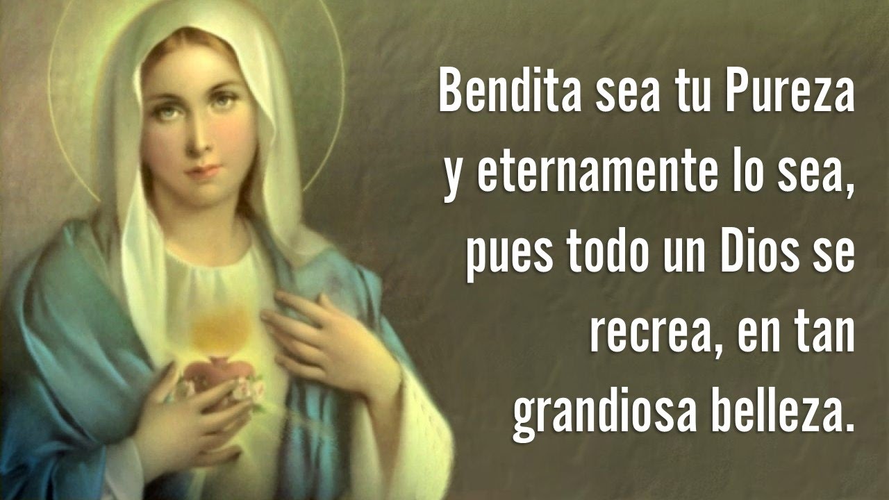 Oración a la Virgen de Guadalupe bendita sea tu pureza: guía completa de rezos y devoción 4 oracion a la virgen de guadalupe bendita sea tu pureza