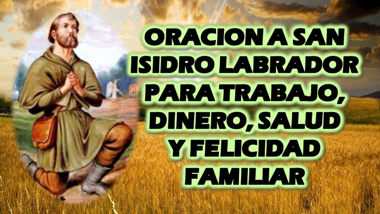 Labrador Oración: Guía Completa de Frases y Oraciones para Amantes de Labradores 1 labrador oracion