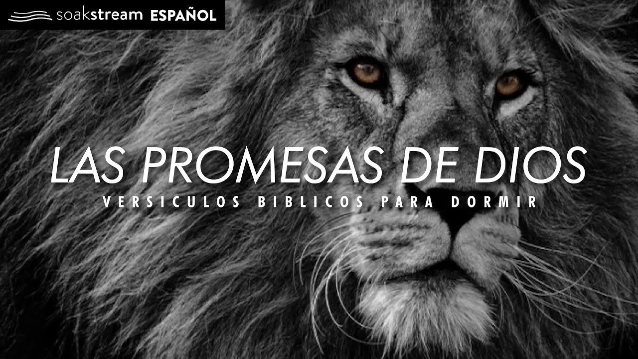 Oracion a Dios Versiculos: los mejores versiculos para orar y fortalecer la fe 4 oracion a dios versiculos
