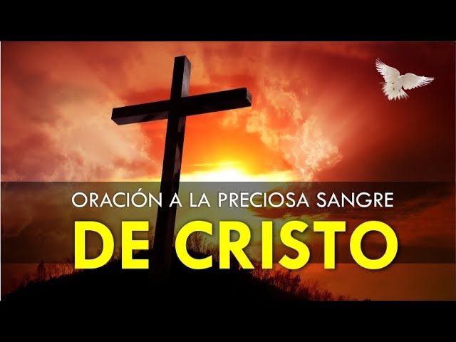 Oración a la preciosa sangre de Cristo yo creo: guía de devoción y fe 5 oración a la preciosa sangre de cristo yo creo