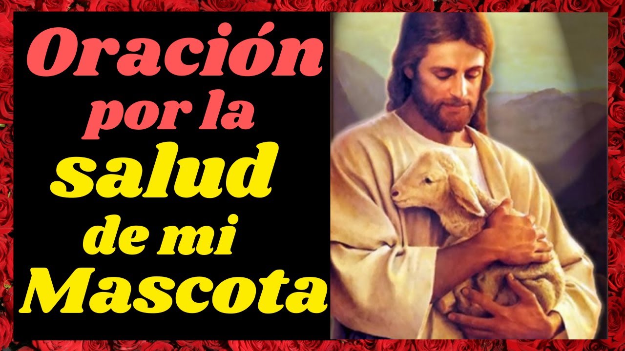 Oración a los Animales Enfermos: Guía de Oraciones para la Sanación de Mascotas 5 oracion a los animales enfermos