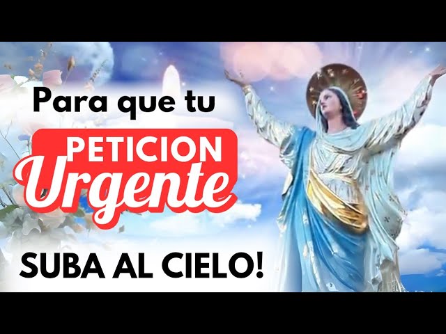 Oración a Maria asunta al cielo: plegaria para pedir consuelo y protección 5 oracion a maria asunta al cielo