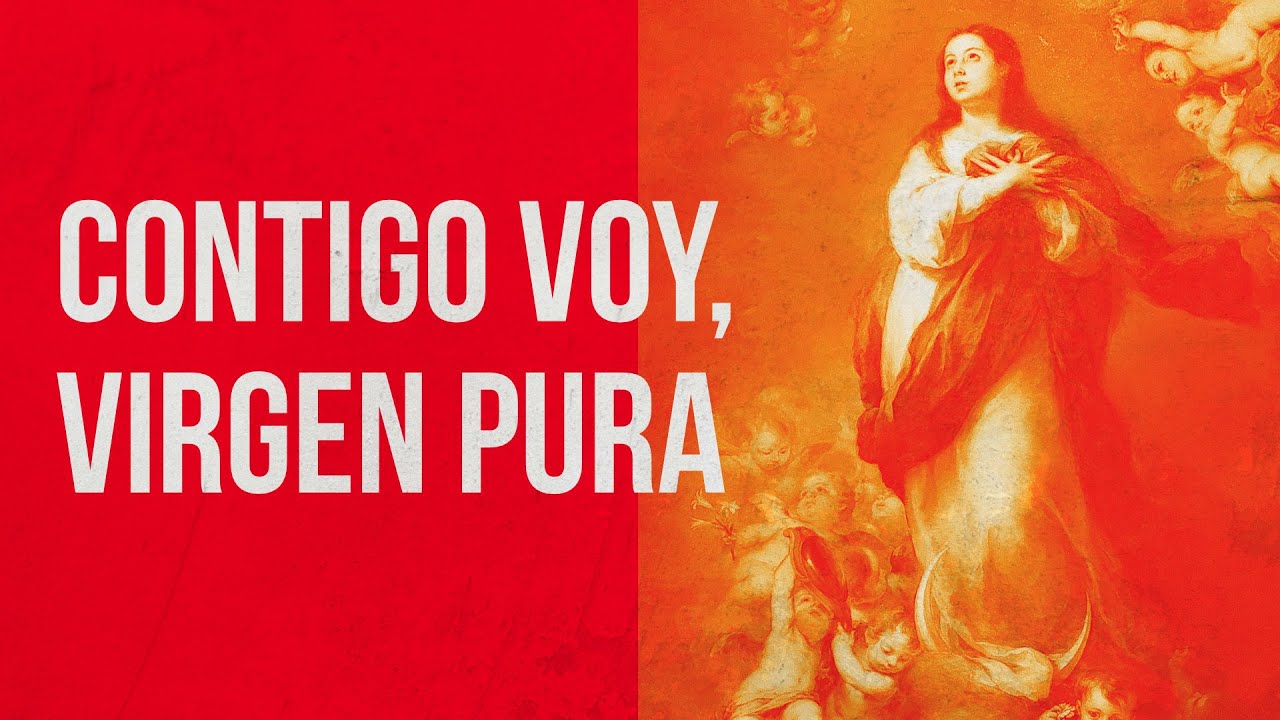 Oración a María contigo voy virgen pura: devoción y pureza 4 oracion a maria contigo voy virgen pura