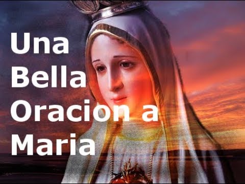 Oracion a Maria Hoy: guía práctica para pedir ayuda y bendiciones 4 oracion a maria hoy