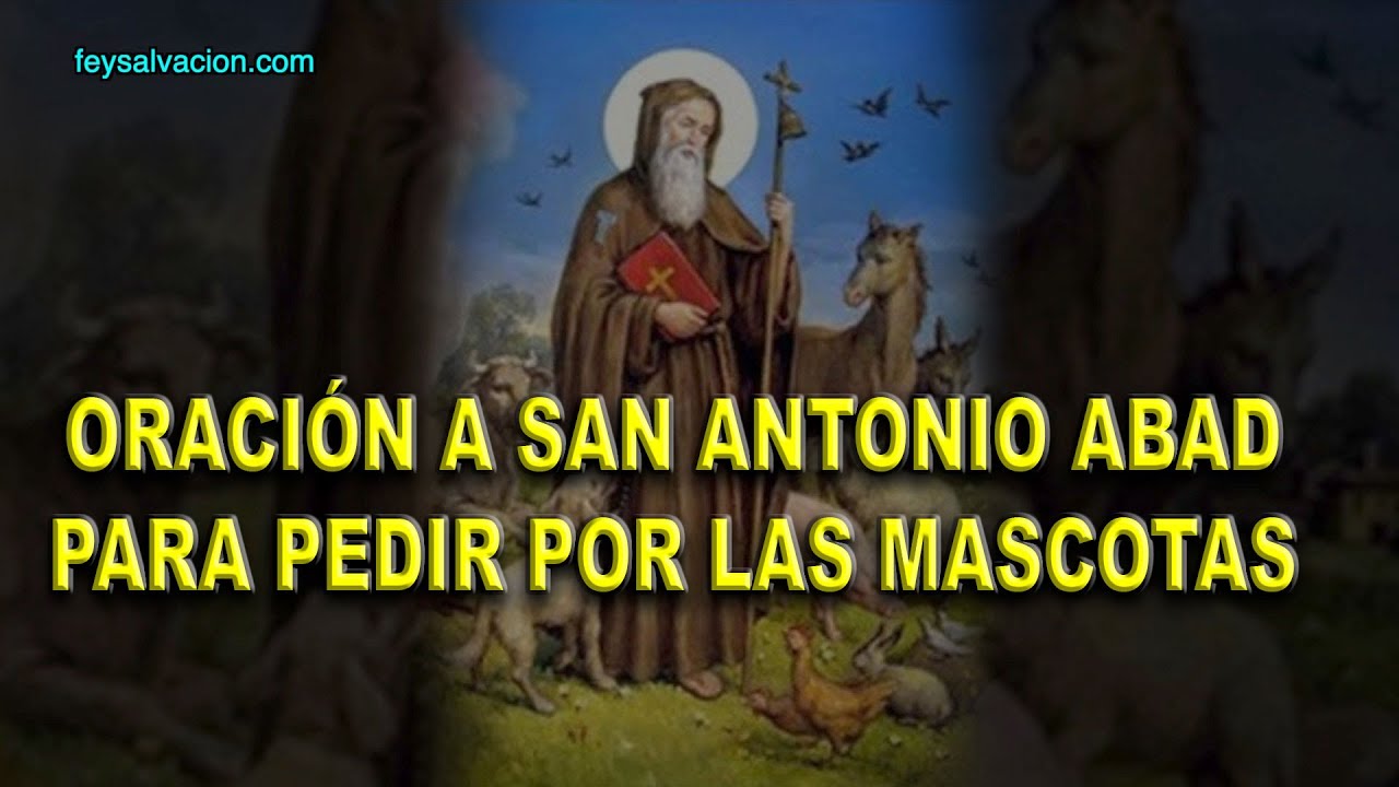 oracion a san antonio por una mascota perdida