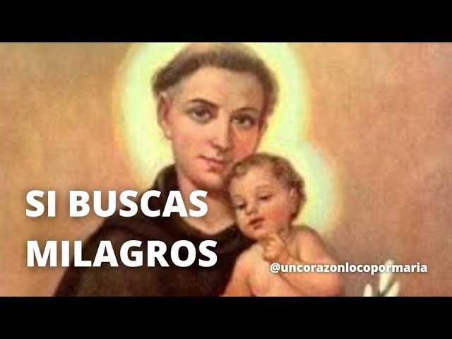 Oración a San Antonio si buscas milagros: guía de oraciones y peticiones 5 oración a san antonio si buscas milagros