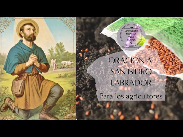 Oración a San Isidro Labrador por las cosechas: guía práctica para pedir buena cosecha y prosperidad 5 oración a san isidro labrador por las cosechas