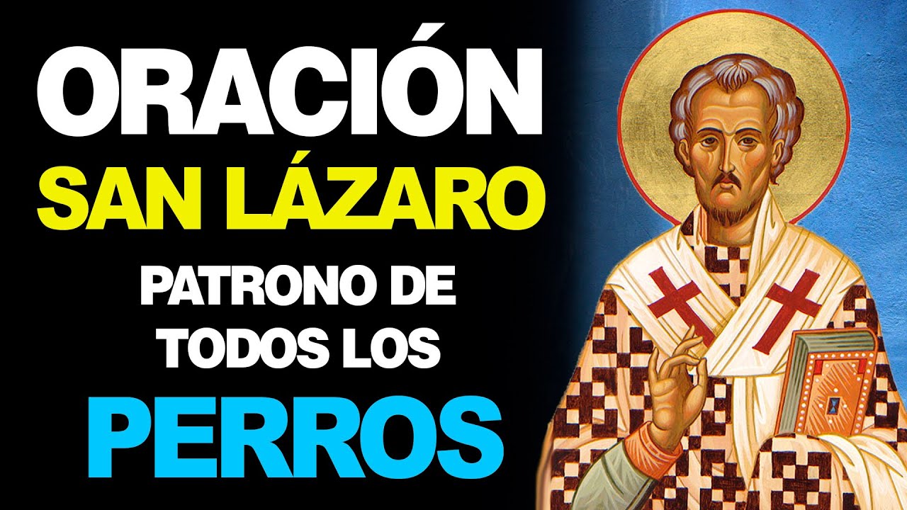 Oración a San Lázaro para Mascotas: Protección, salud y consuelo para tus animales 4 oracion a san lazaro para mascotas